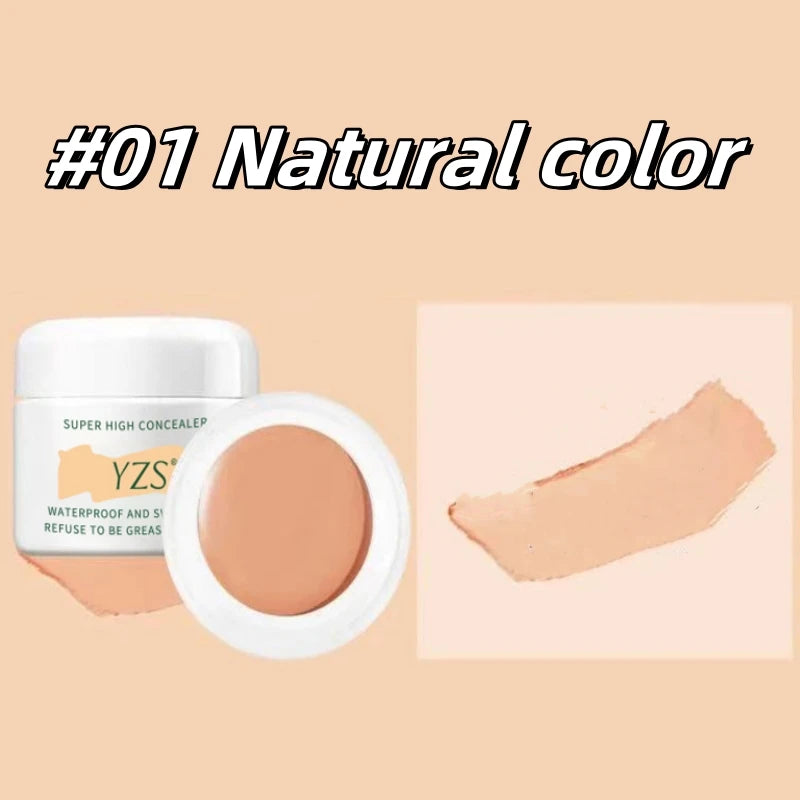 Waterproof Coverage Concealer For Tattoos Scars High Quality For Contouring Makeup Foundation Corrector Anti Dark Circle Freckle